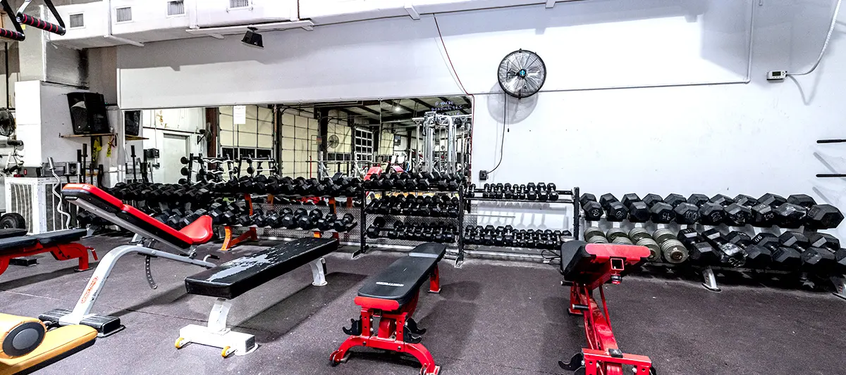 The free-weight area at Spicewood Fitness: dumbbells racked from light to heavy along the wall, with adjustable benches on the rubber floor.